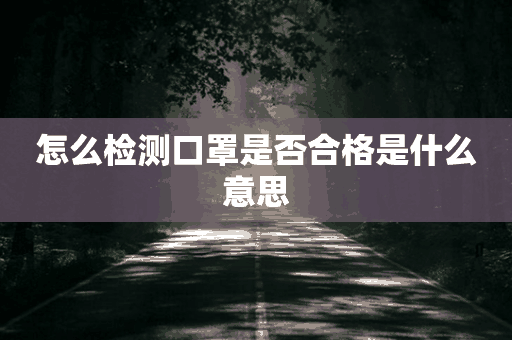 怎么检测口罩是否合格是什么意思